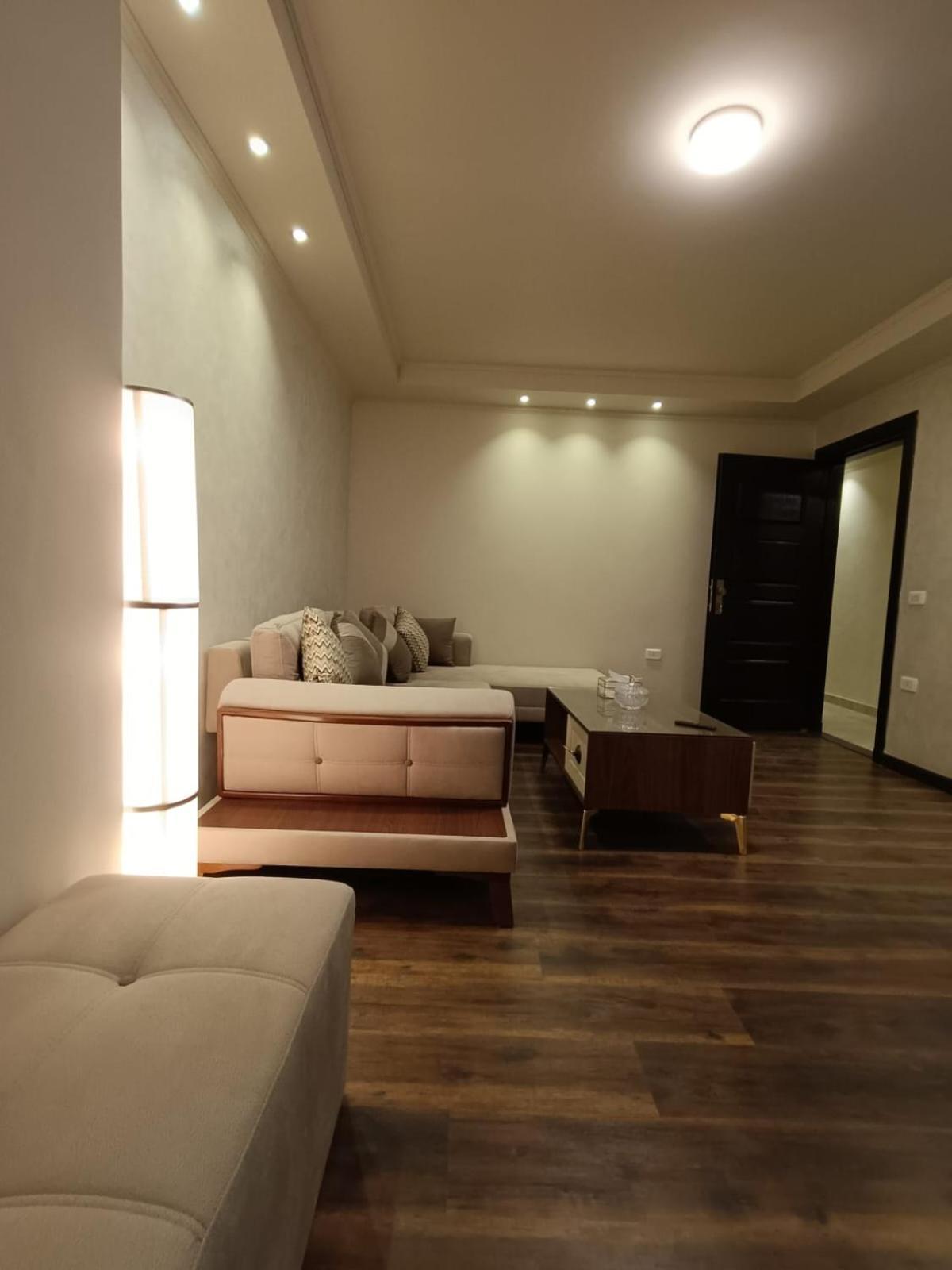 Luxury Dokki Apartment Cairo